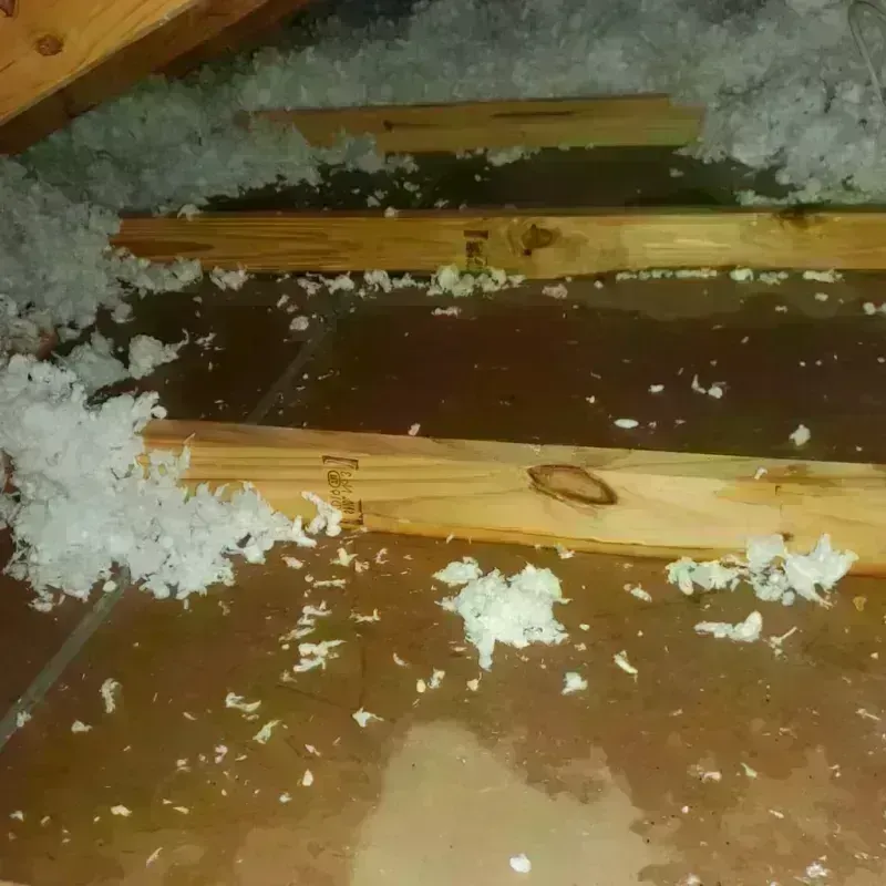 Attic Water Damage in Caledonia, MI