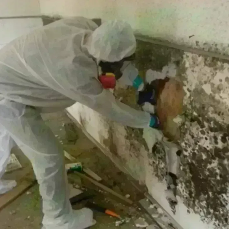 Mold Remediation and Removal in Caledonia, MI