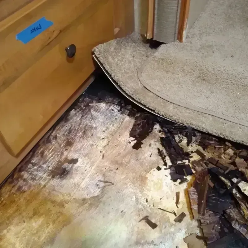 Best Wood Floor Water Damage Service in Caledonia, MI